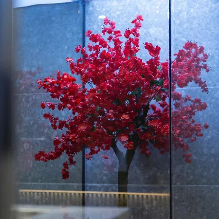 Destiny & Yzberishti